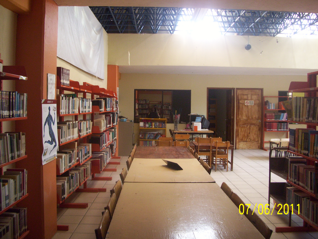 imagen3