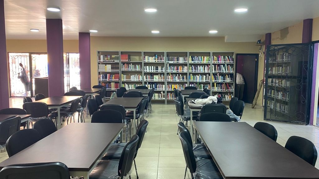 imagen1