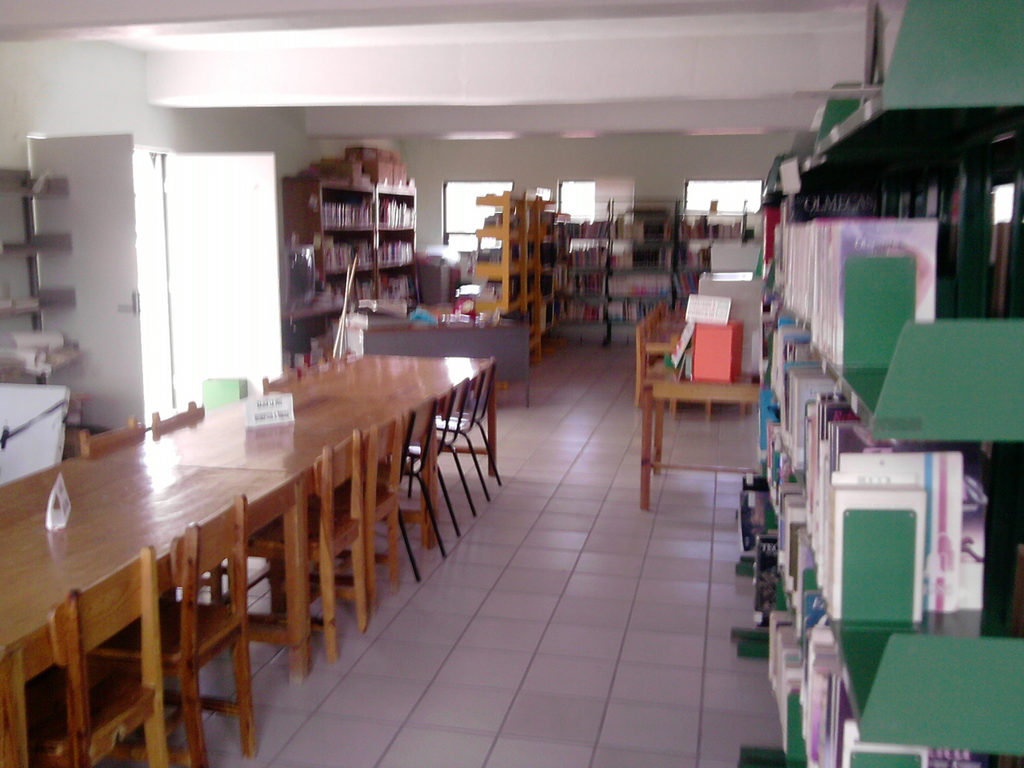 imagen1