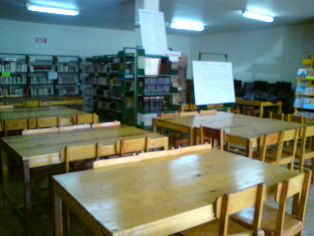 imagen3