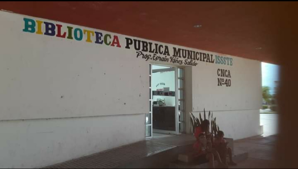 imagen1