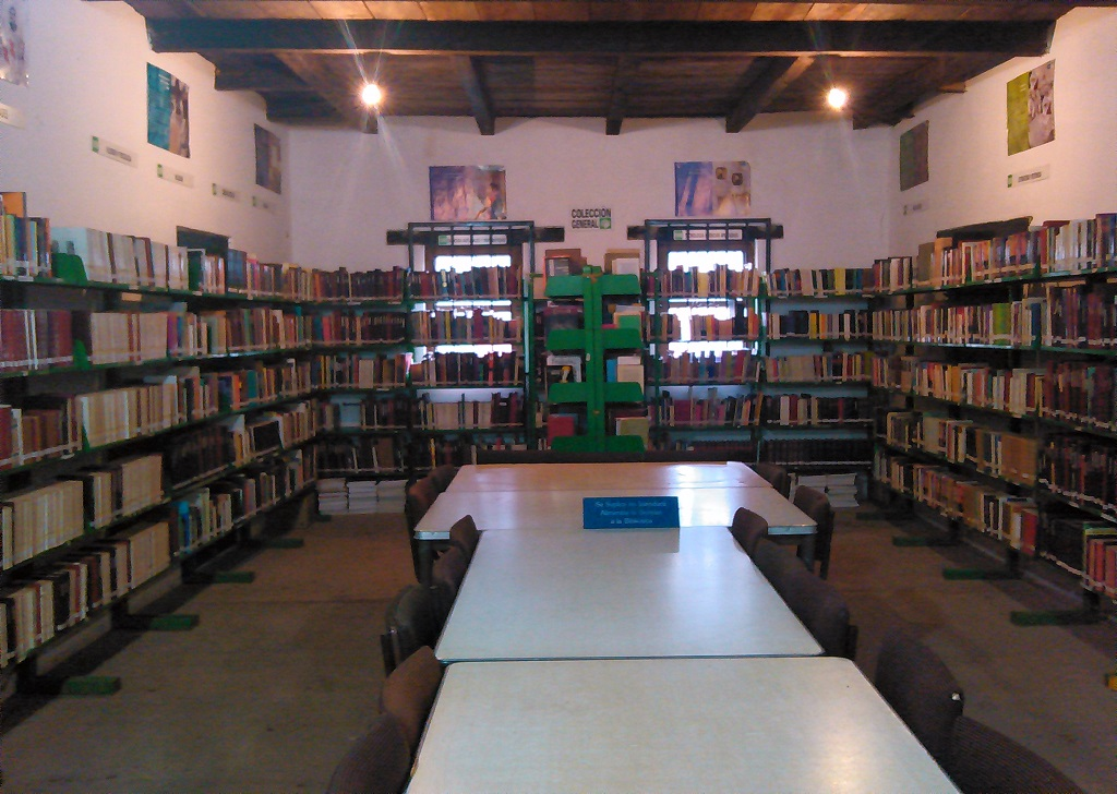 imagen3
