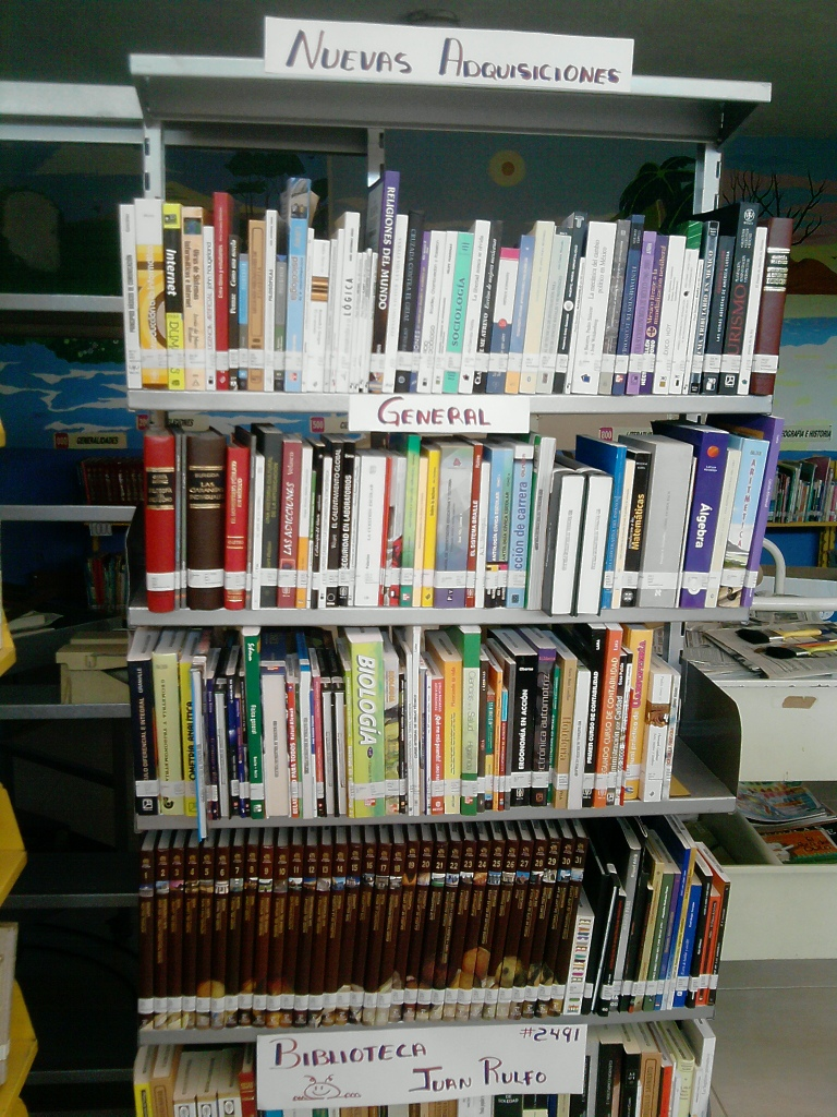 imagen3