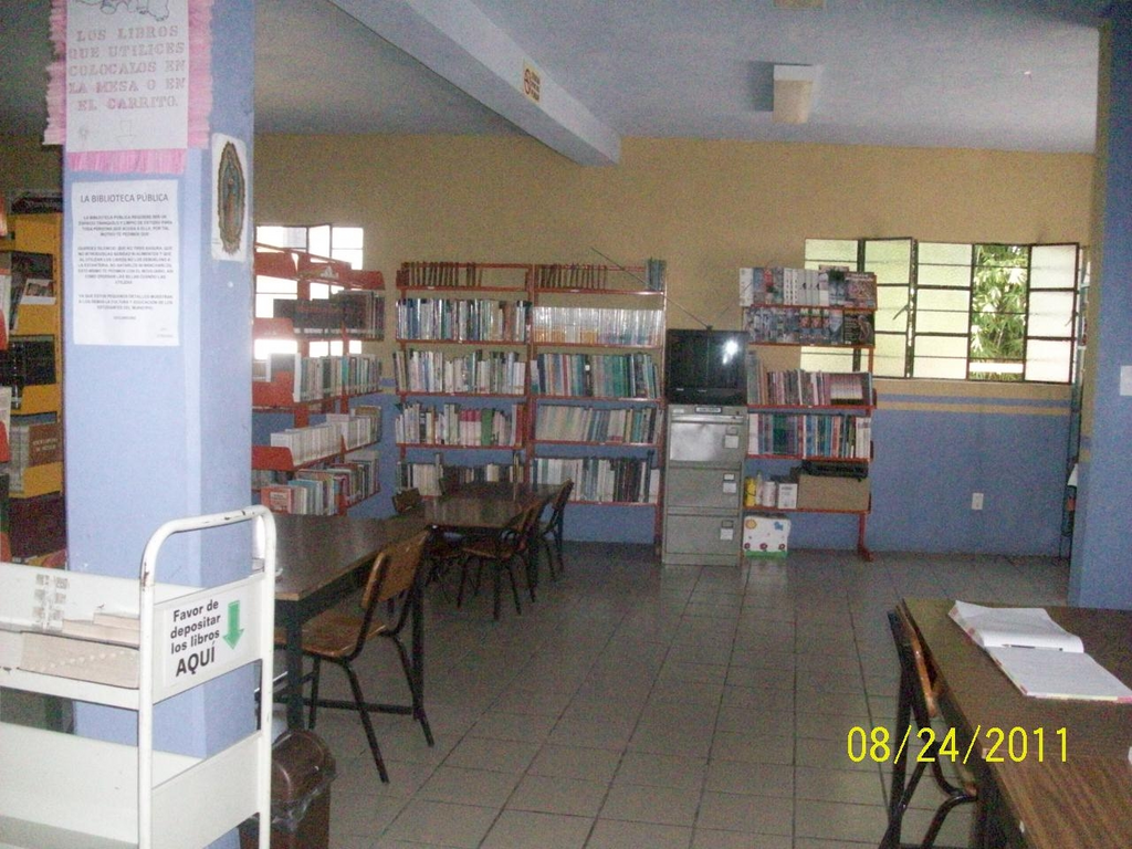 imagen3