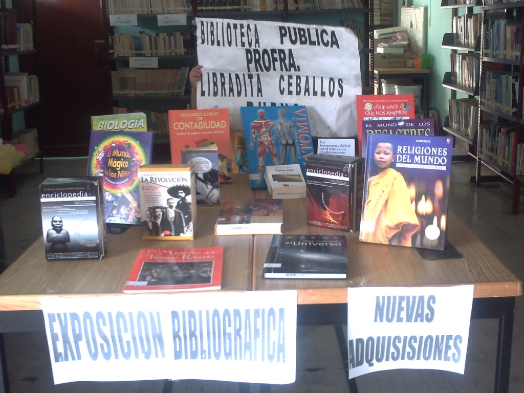 imagen3