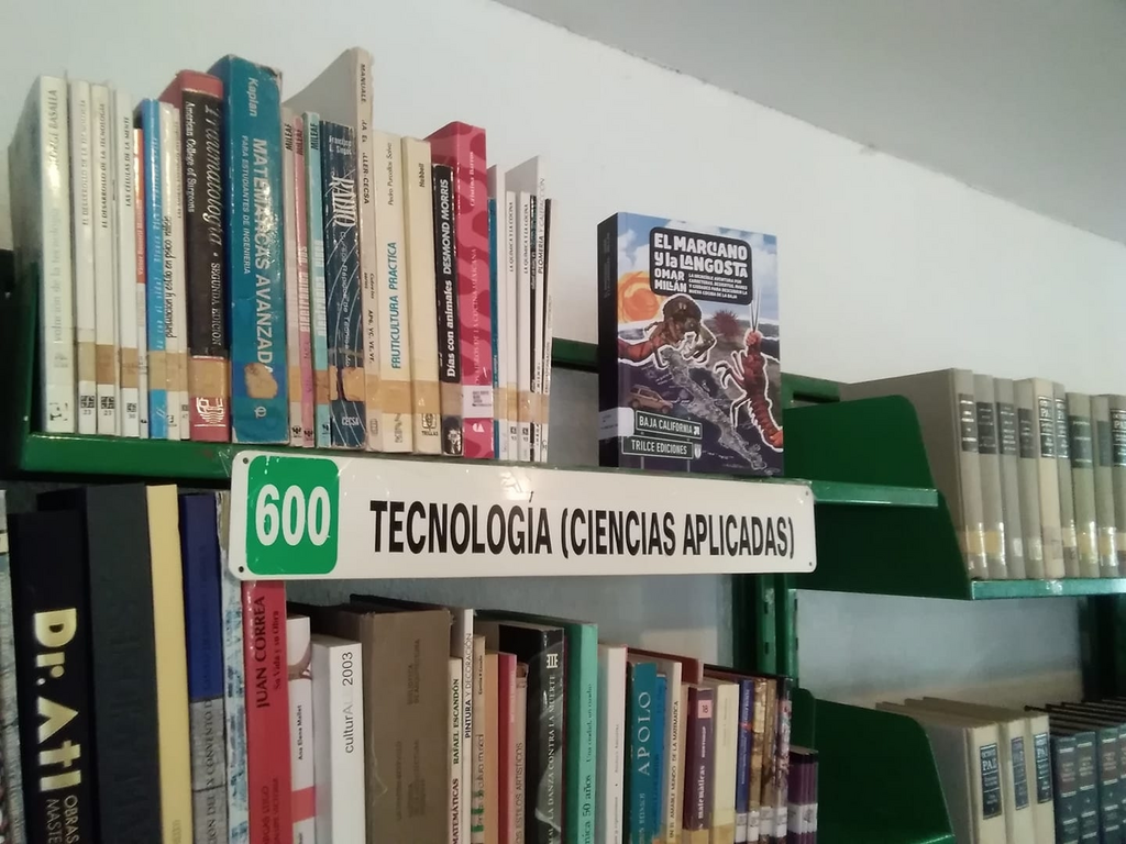 imagen0