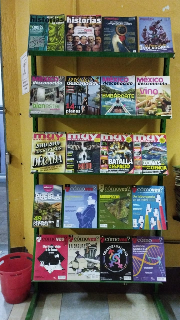 imagen3