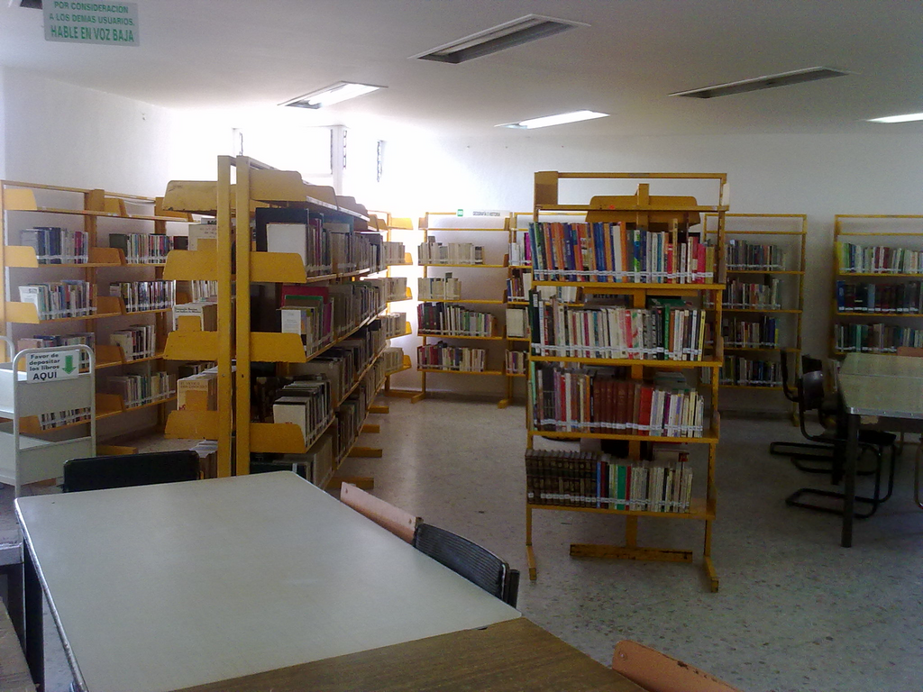 imagen1