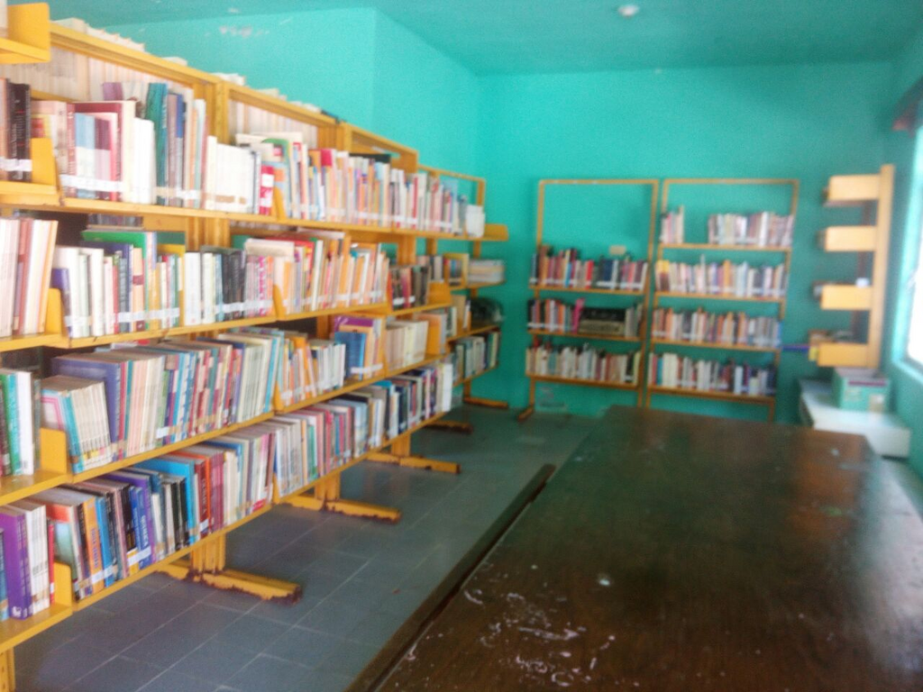imagen1