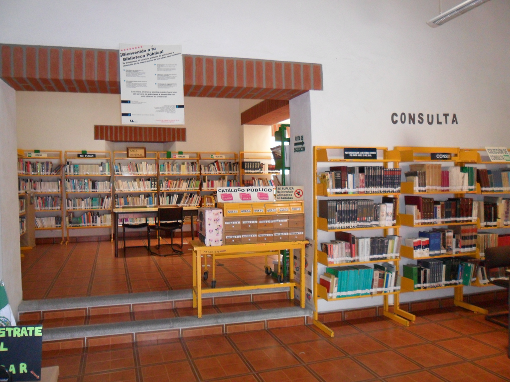 imagen3