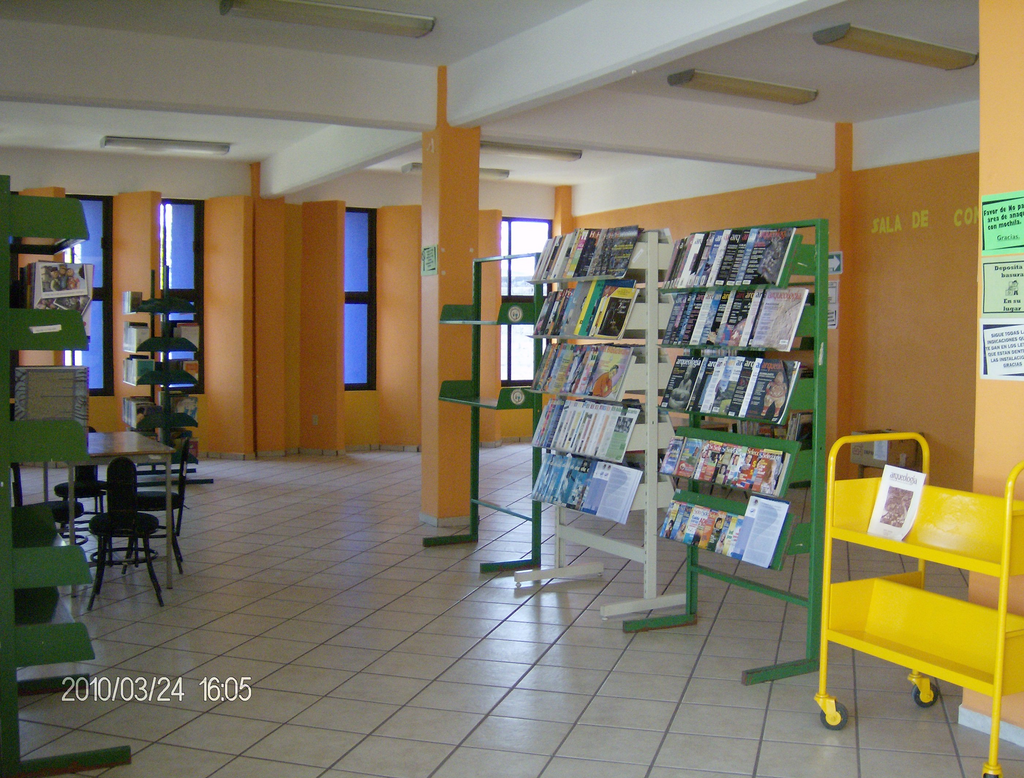 imagen3