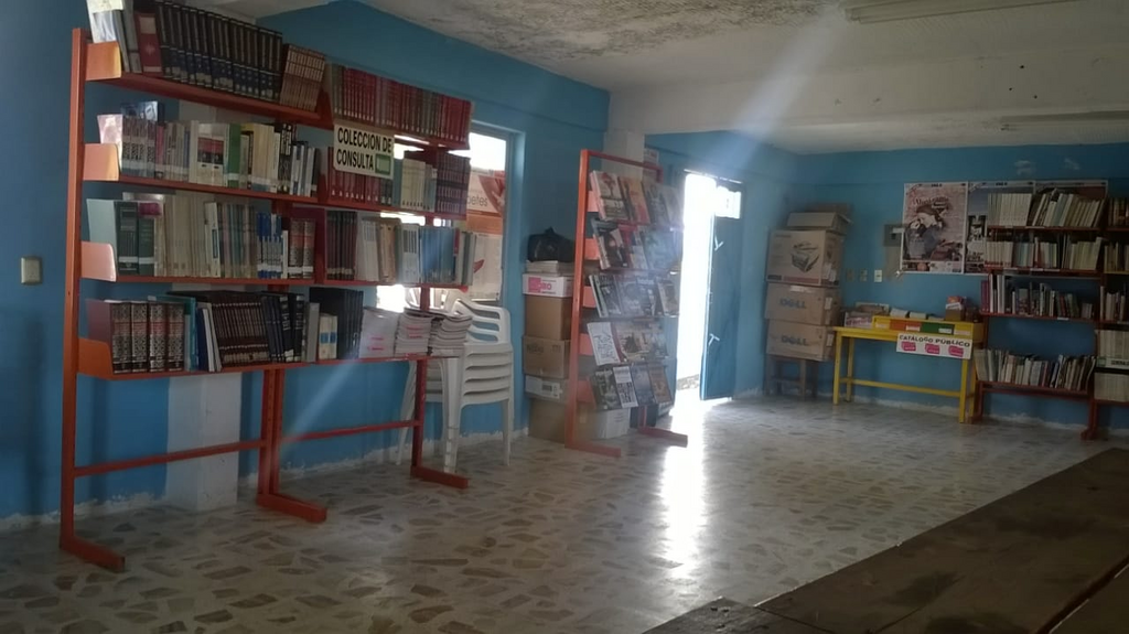 imagen3