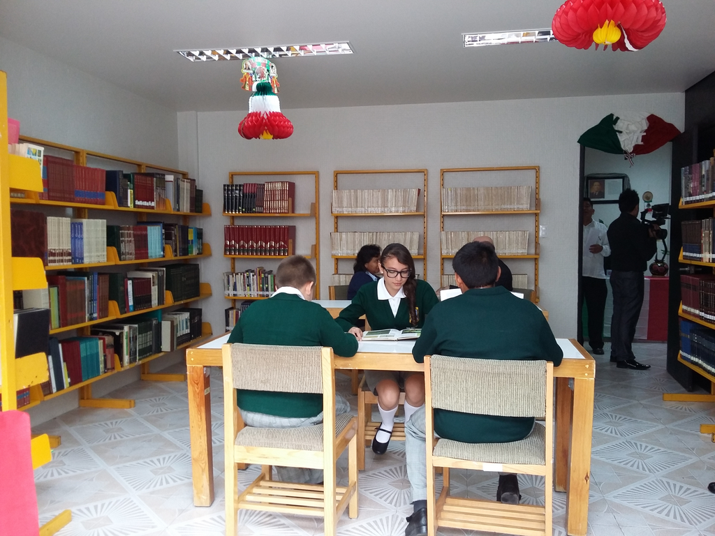 imagen1