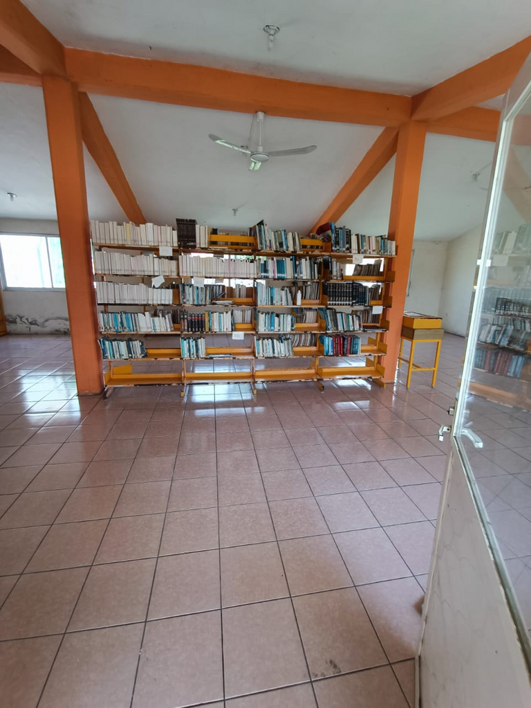 imagen3