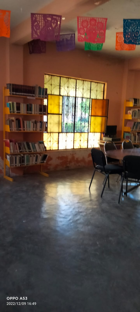imagen2