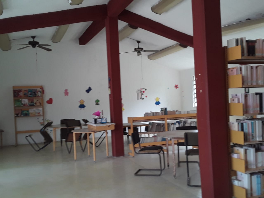 imagen1
