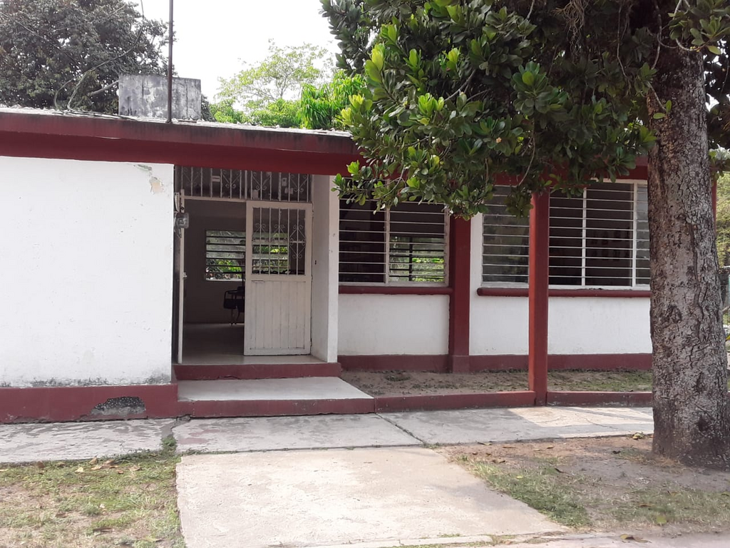 imagen3