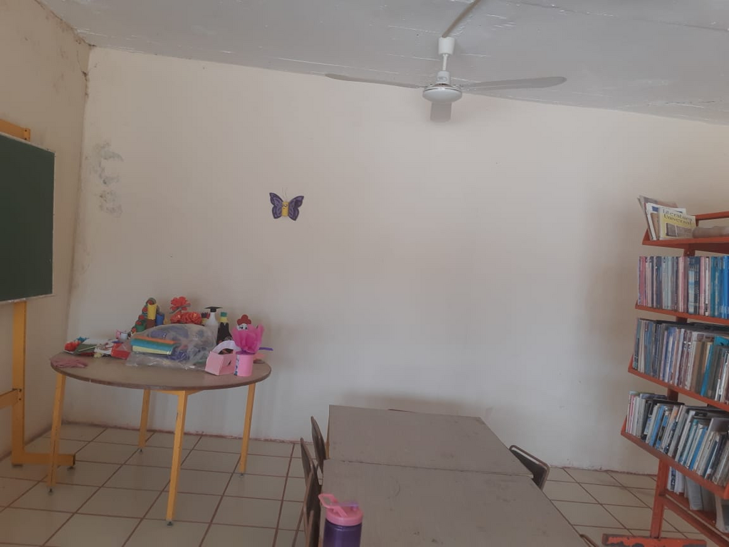 imagen3