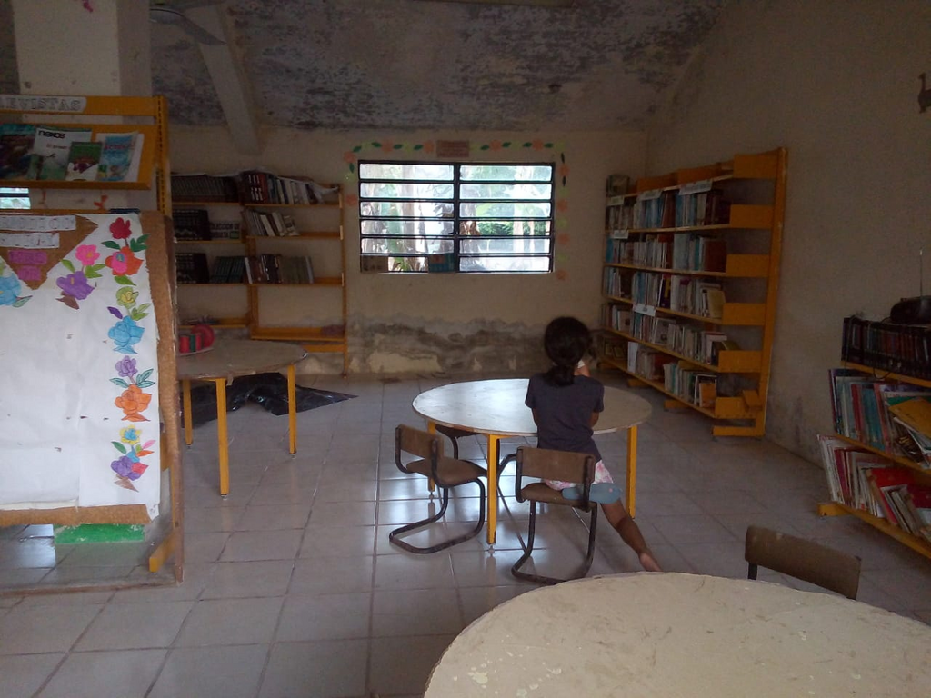 imagen2