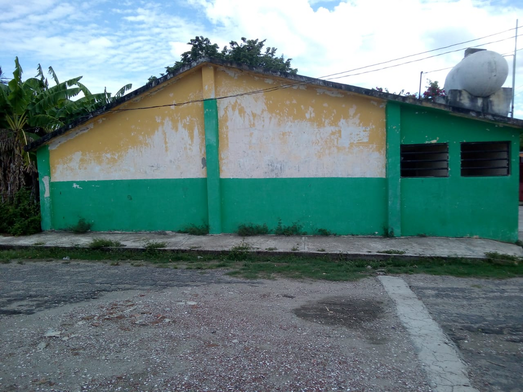 imagen0