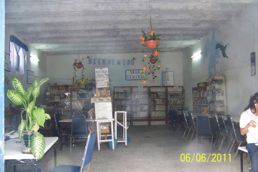 imagen3