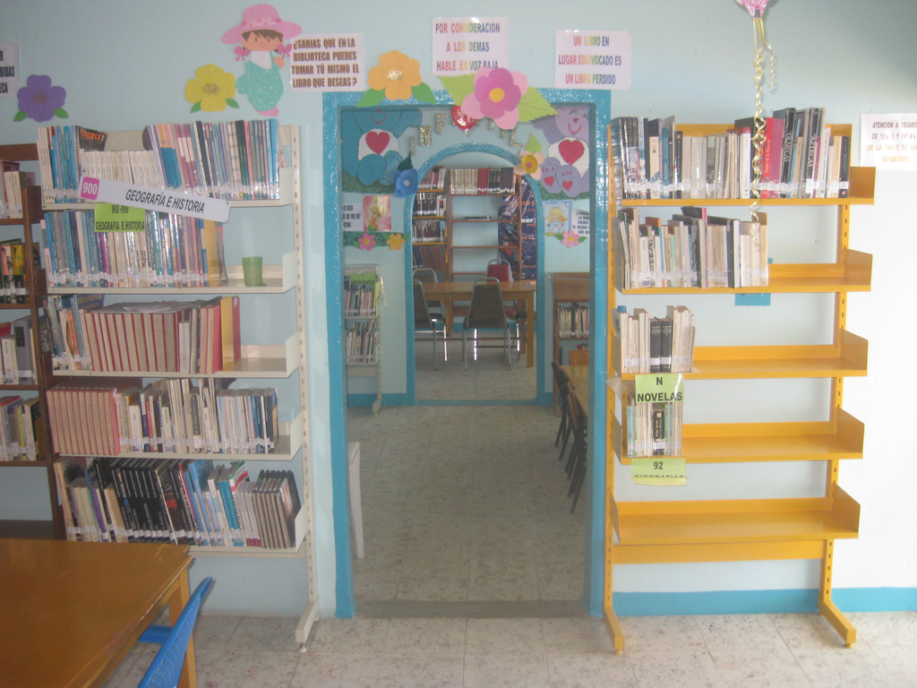 imagen3
