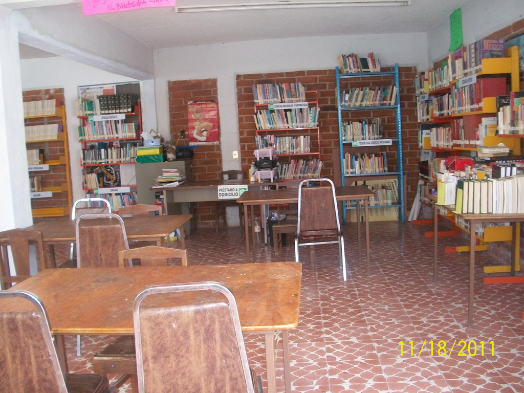 imagen1