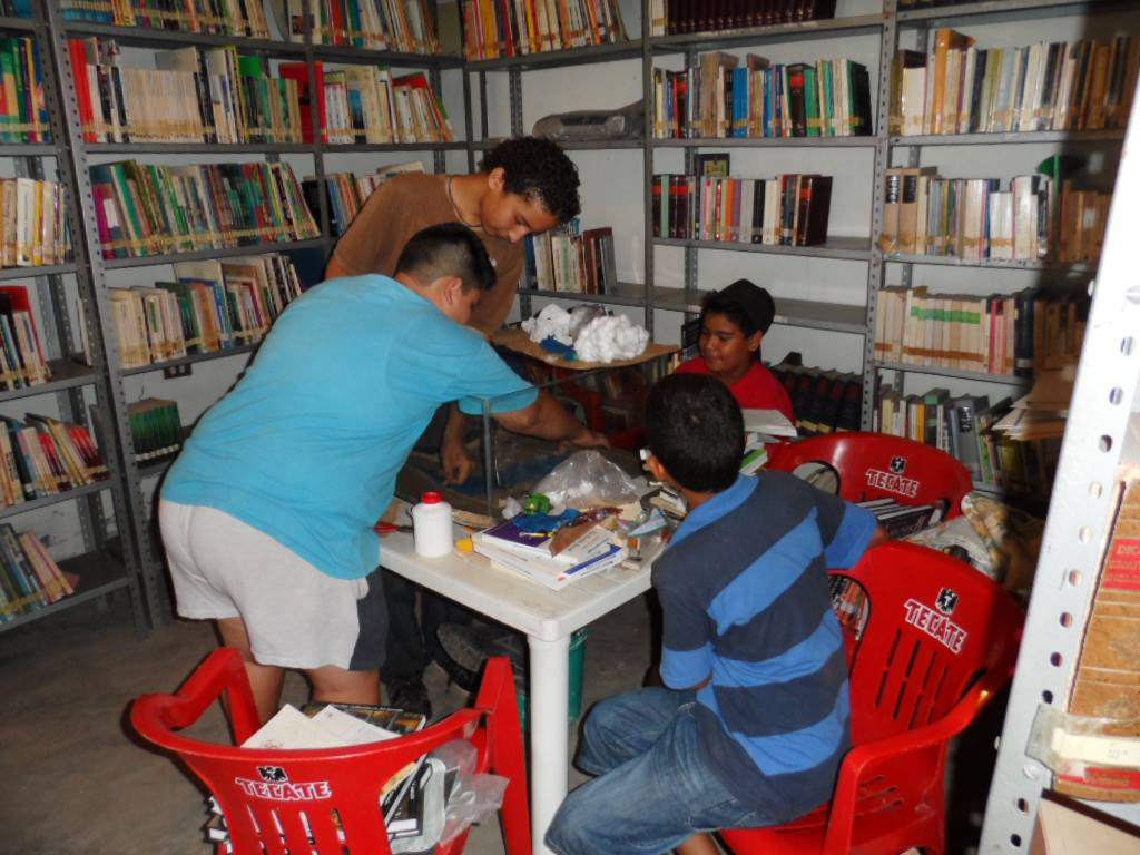 imagen1