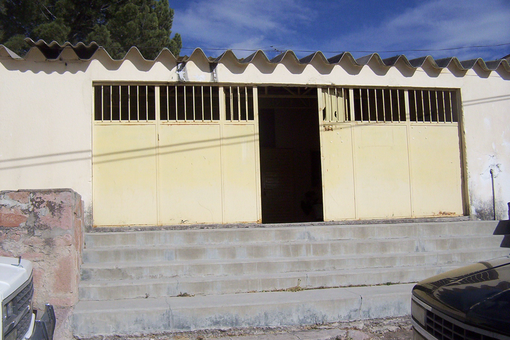 imagen3