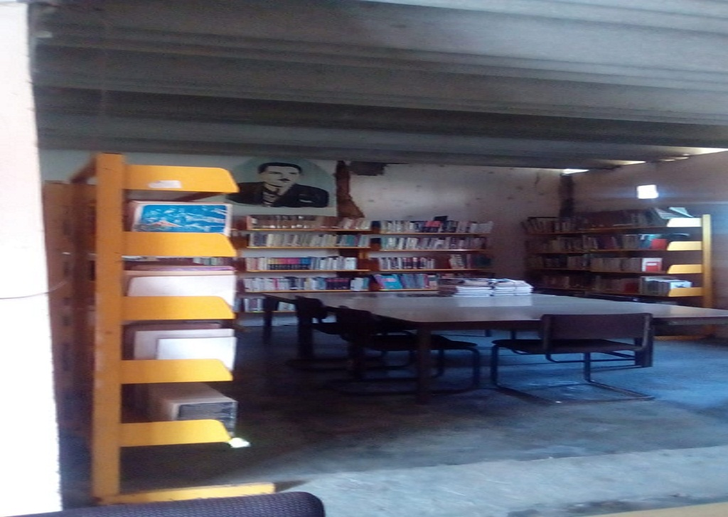 imagen3