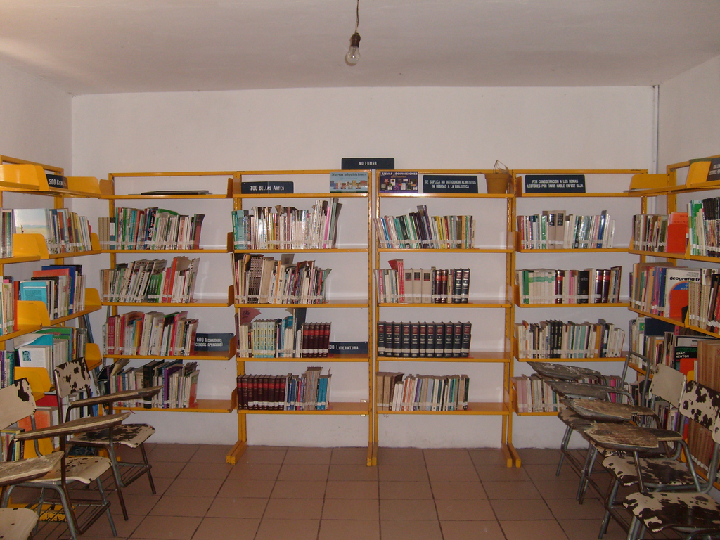 imagen1