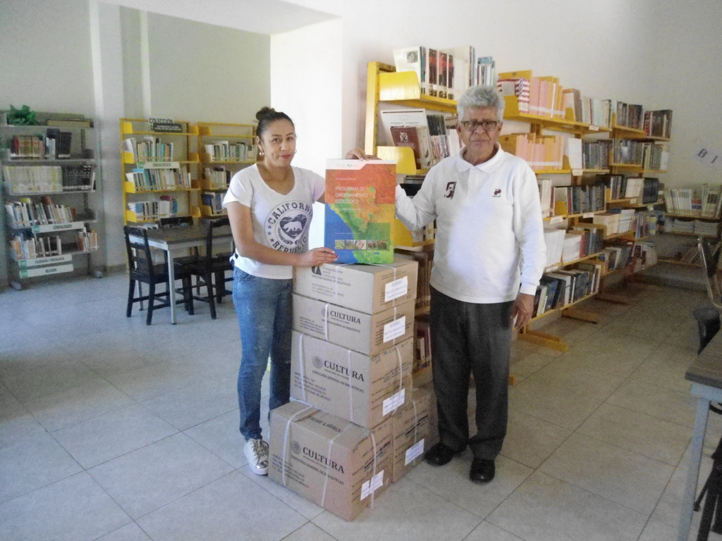 imagen2