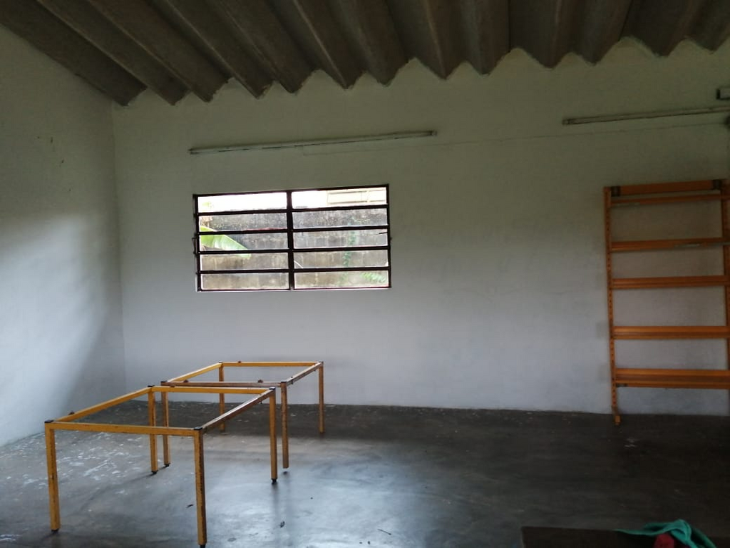 imagen2