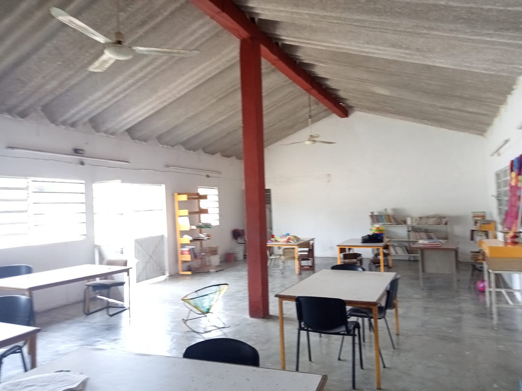 imagen2