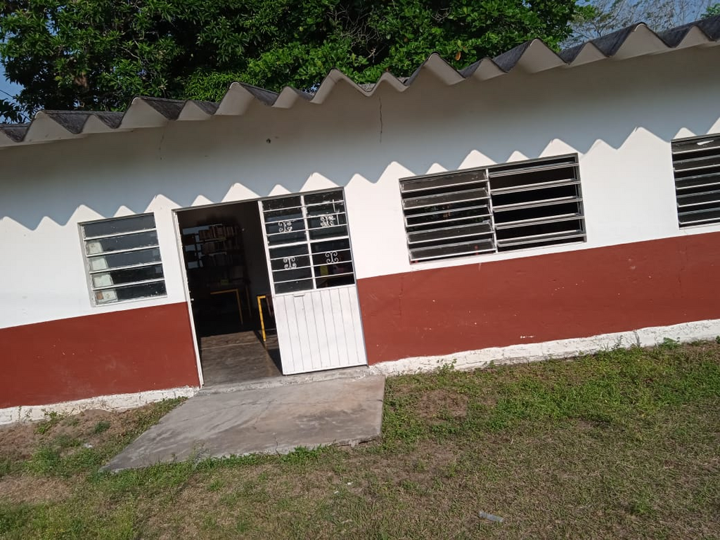 imagen2
