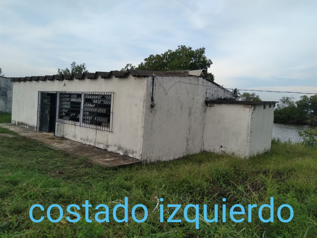 imagen1