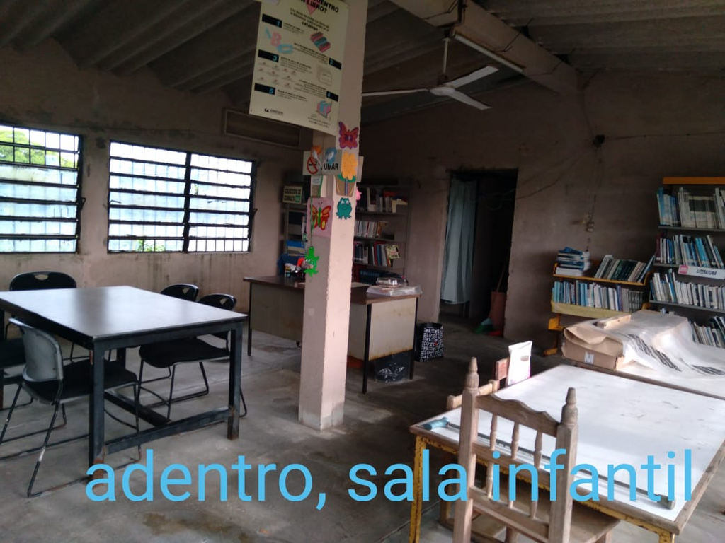 imagen3