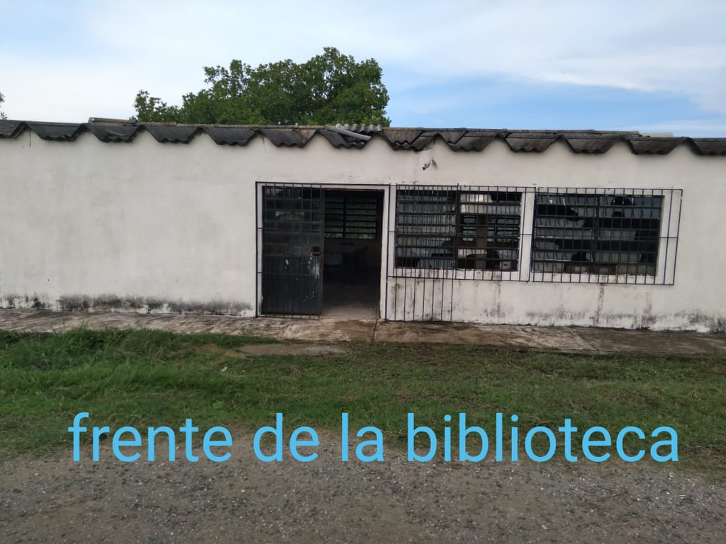 imagen0