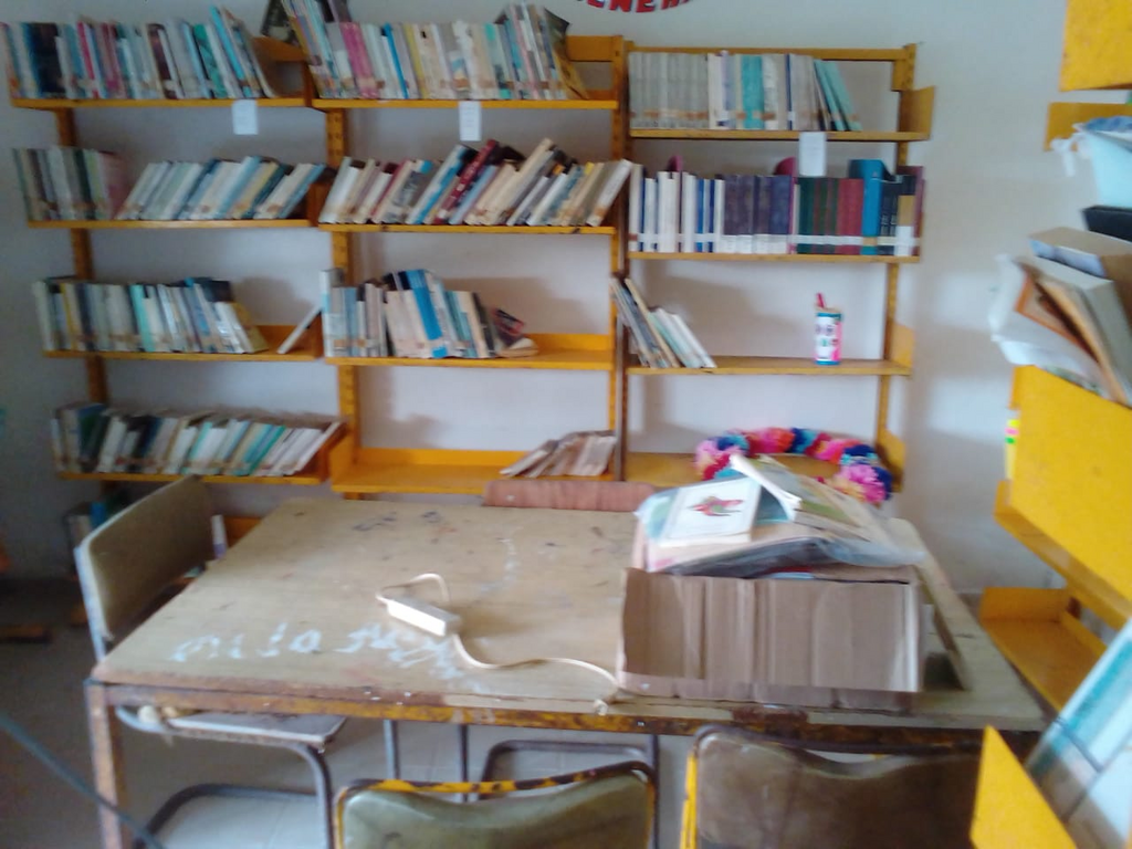 imagen1