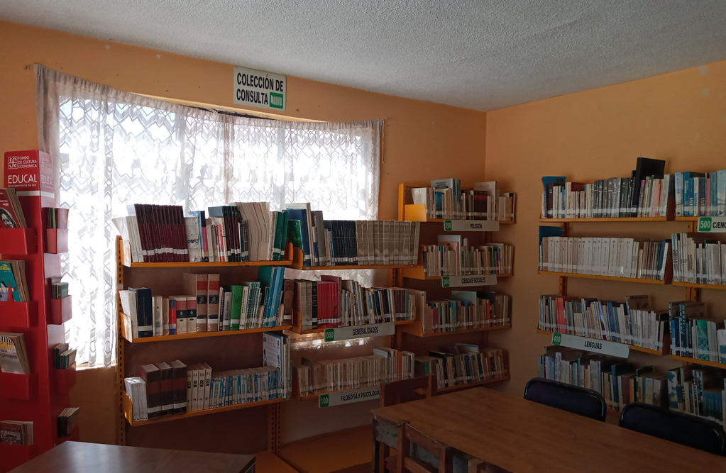 imagen1
