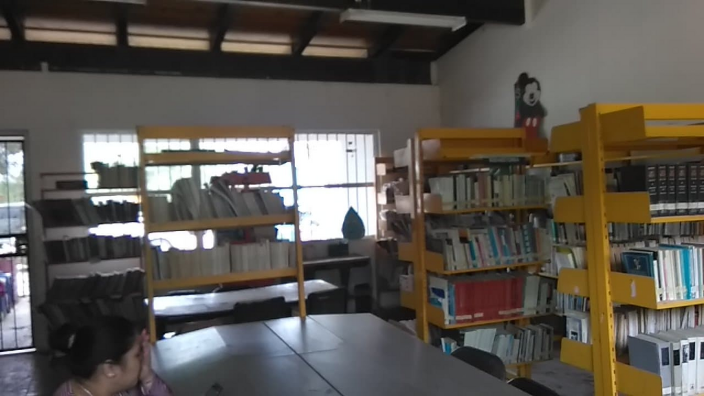 imagen2