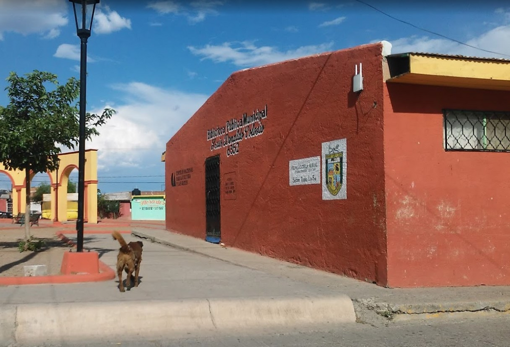 imagen1