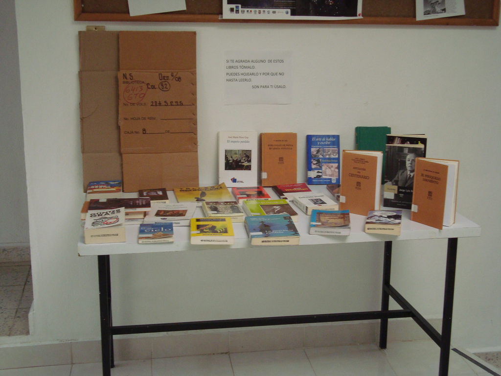 imagen1