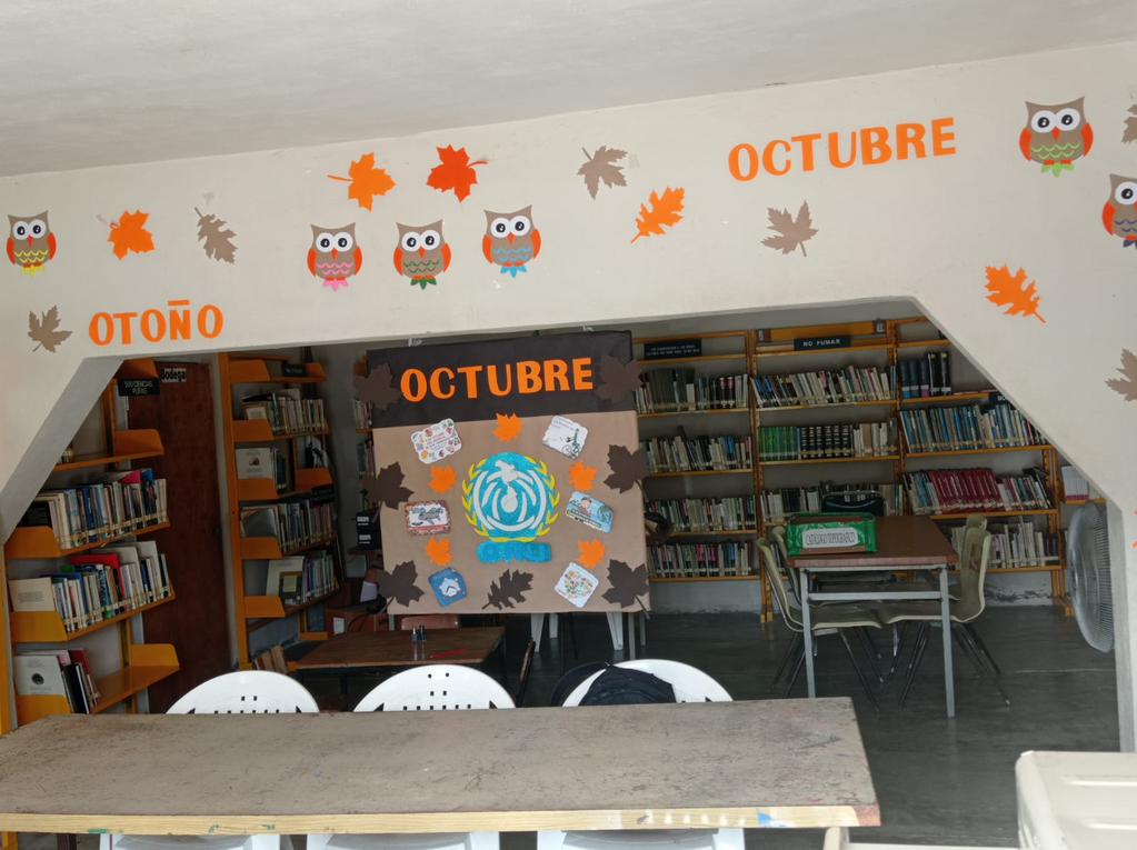 imagen1