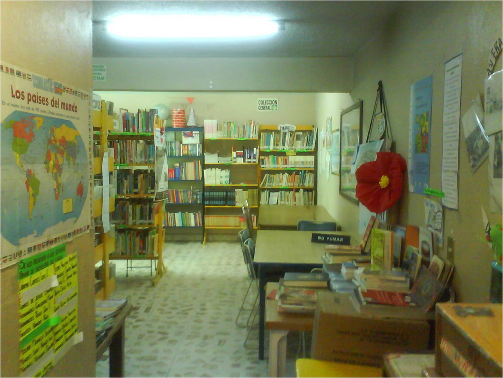 imagen3