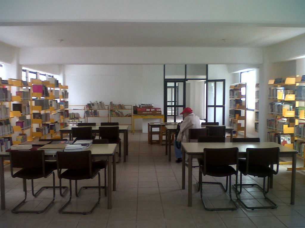 imagen3
