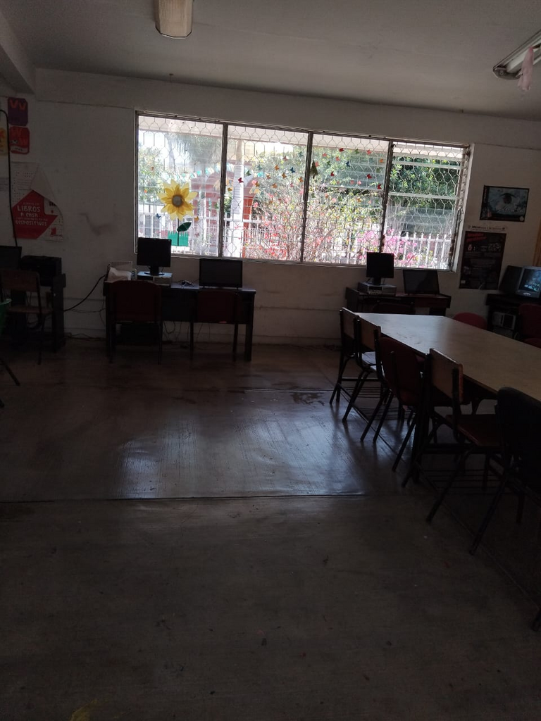 imagen1