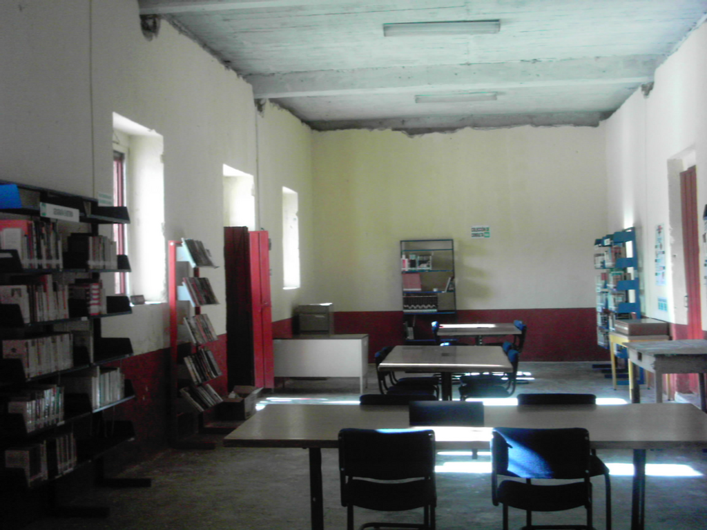 imagen1