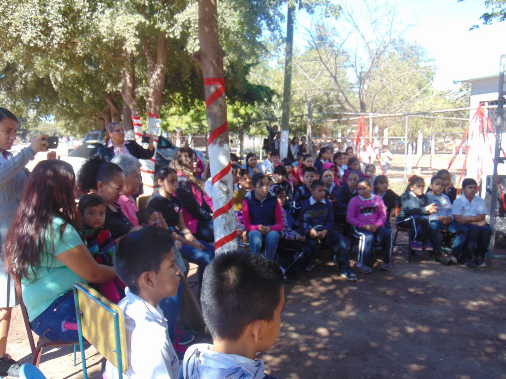 imagen2