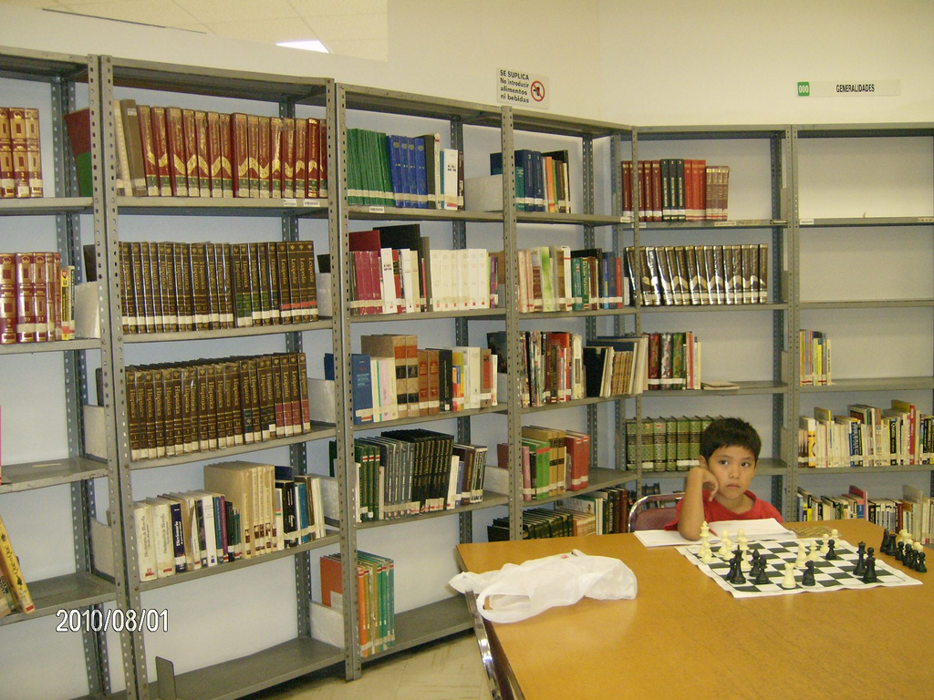 imagen3